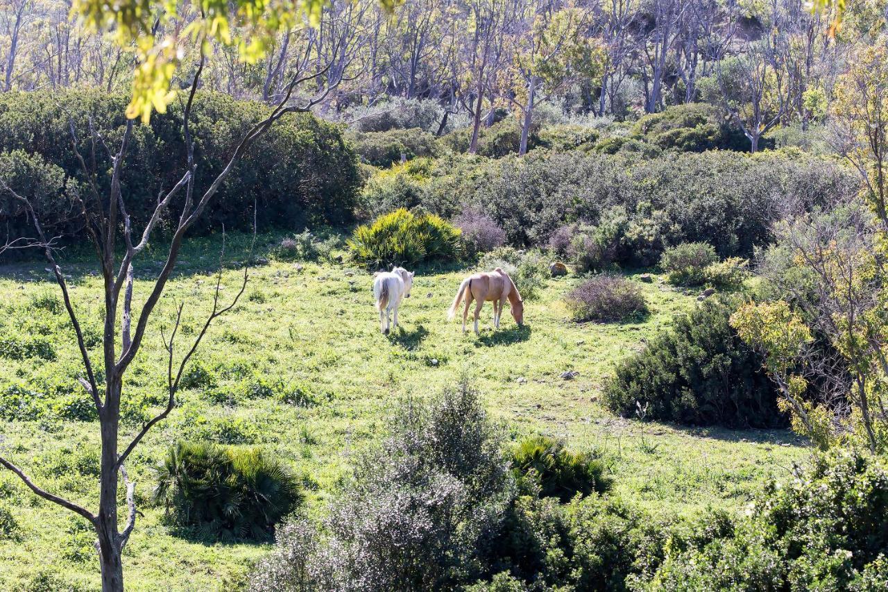 דירות טריפה Casita Rural En Centro De Hipica מראה חיצוני תמונה